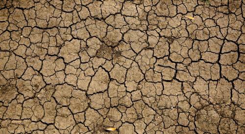 Image of Dried Earth