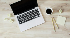 A dark woodland with the words 'Spotlight series' overlayed