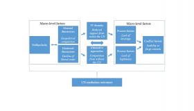 Diagram showing macro and micro mediation factors