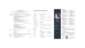 Examples of CV styles