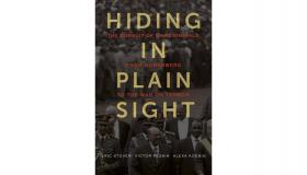Hiding In Plain Sight