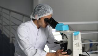 A Brazilian doctor using a microscope