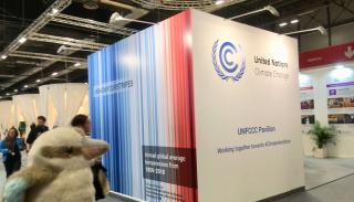 Warming stripes at COP25