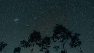 A starry night sky with trees