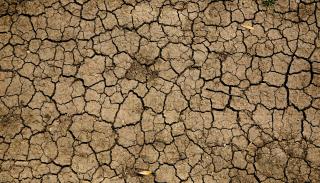 Image of Dried Earth