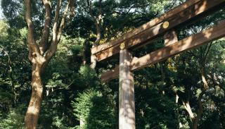 Tokyo Garden