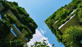 States and the green transition