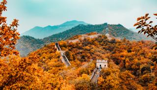 The Great Wall of China surrounded by orange trees and with mountains in the background 