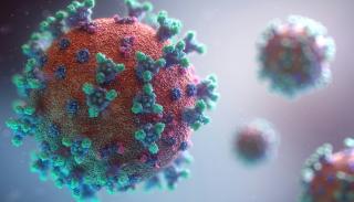 Visual image of coronavirus 