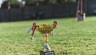A gold trophy sat on grass