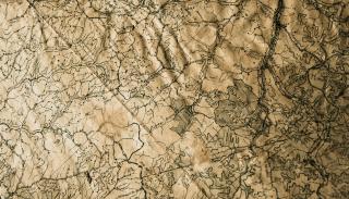 close up shot of an old style map 