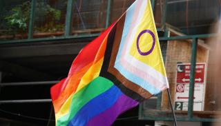 Rainbow pride flag combined with the Progress Pride flag 
