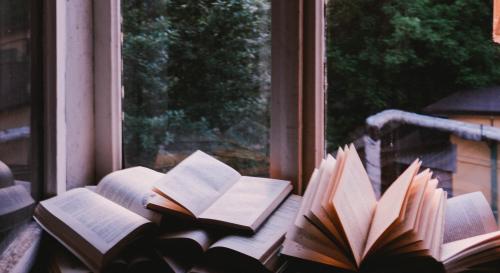 Books by the window