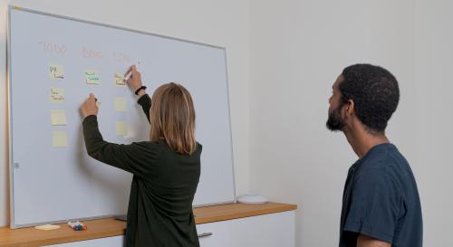 Two academics planning sessions