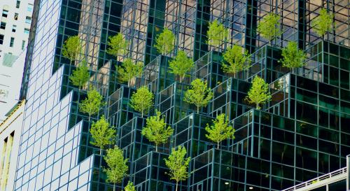 A group of trees growing from a large windowed and mirrored building