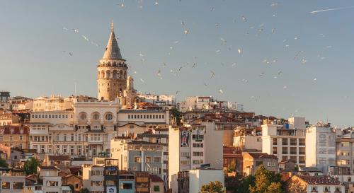 A group of white coloured buildings sat on a mountain top against a blue sky with birds flying over the top. 