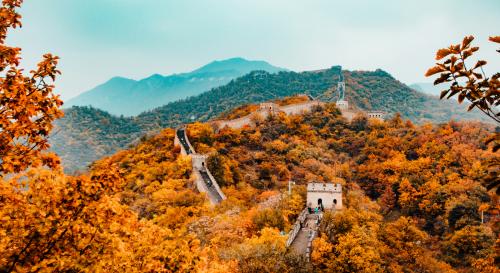 The Great Wall of China surrounded by orange trees and with mountains in the background 