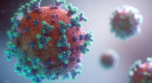 Visual image of coronavirus 