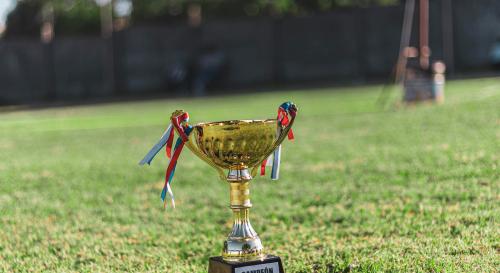 A gold trophy sat on grass
