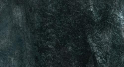 close up of a tree