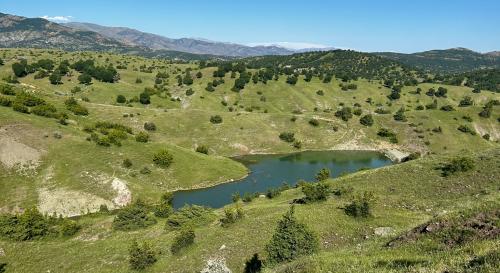 rolling green hills