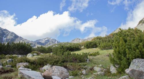 mountain scene in bulgaria