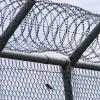 Rail fencing with a small bird perched on it