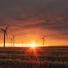 Wind farm at sunset