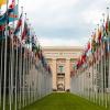 United Nations building and flags